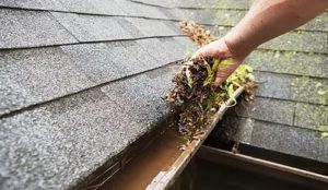 Roof edge gutter cleaning done for a house in Logan, UT
