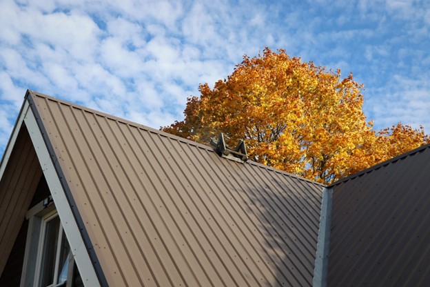 Roof with tree in the background in fall in Logan, Utah 